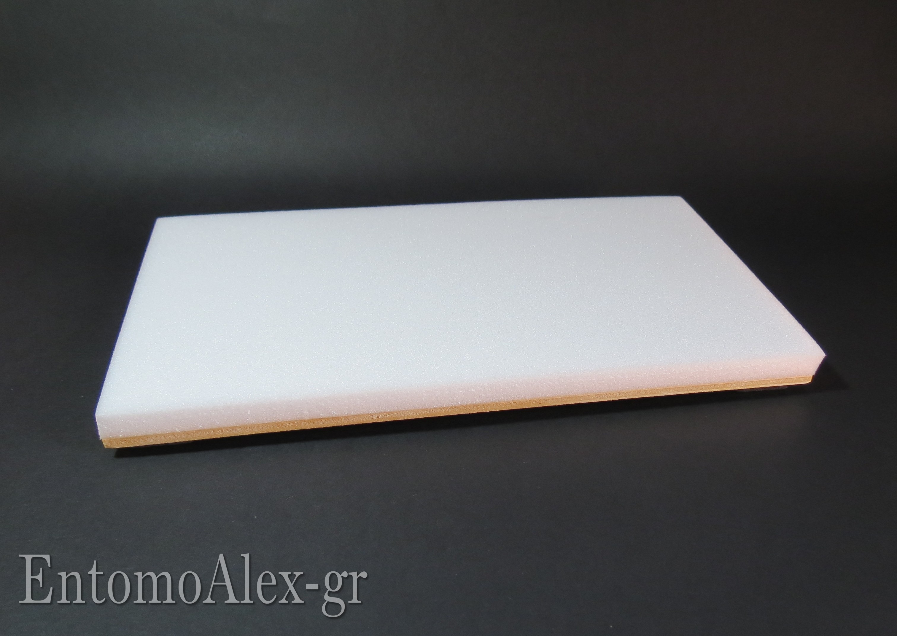 Plastazote Mounting Board Pinning Insects