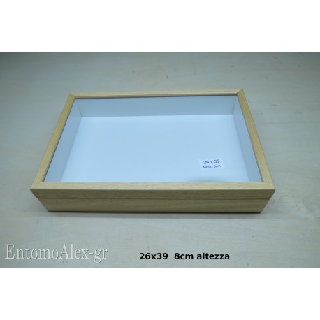 scatola entomologica legno 26x39 CHIARA 8cm