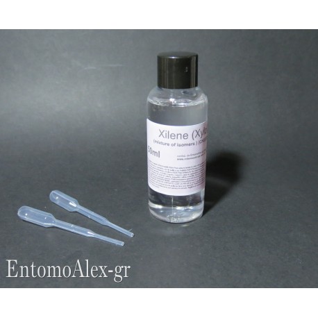 50ml  Xylene (xylol)  solvent x canada balsam fir gum