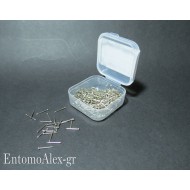 10mm spilli corti per etichette in scatole entomologiche