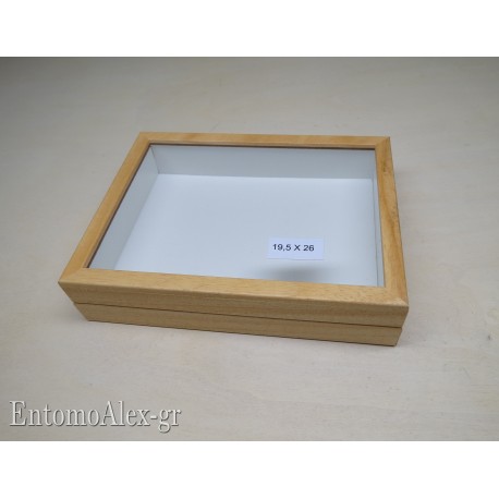 wooden box entomological drawer with plastazote 19,5x26 clear finish