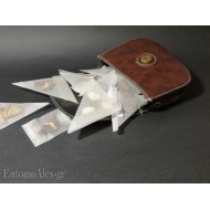 belt bag x butterfly glassine envelopes