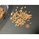 100g  5-8mm  washed chipped cork granulate for killing jars