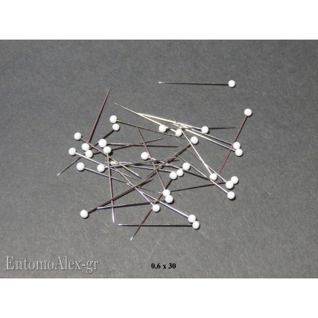 0.6x30 WHITE glass headed butterfly mounting pins