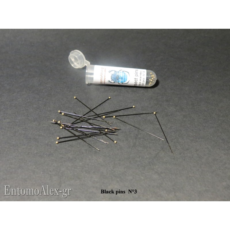 N° 3 insect pins BLACK ENAMELLED - EntomoAlex-gr