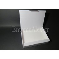 1x  Cardboard 18x24 transport insects box