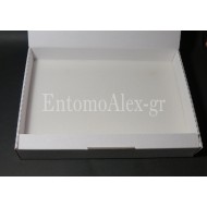 1x  Cardboard 22,5x32 transport insects box