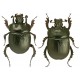 Anoplotrupes stercorosus x2